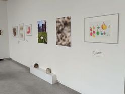 Einblick in die Ausstellung