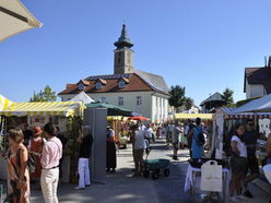 Zahlreiche Besucherinnen und Besucher kamen zur Ortsbildmesse nach Wolfern.